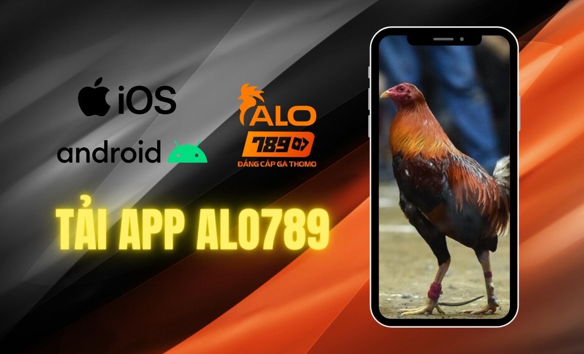 Hướng dẫn tải app Alo789 apk về điện thoại